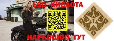 молекула духа Будённовск