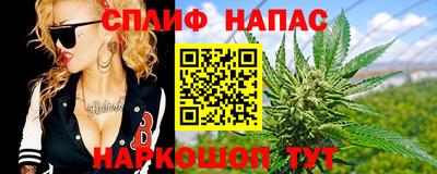 молекула духа Будённовск