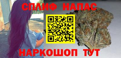 молекула духа Будённовск