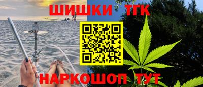 молекула духа Будённовск