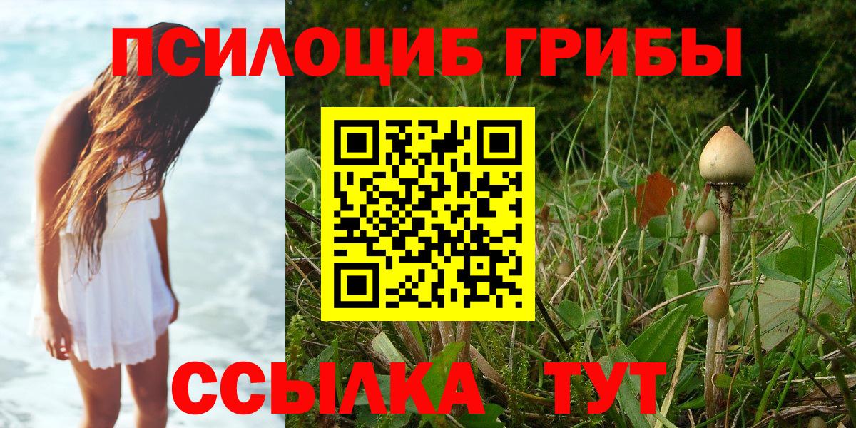 Псилоцибиновые грибы ЛСД Ставрополь